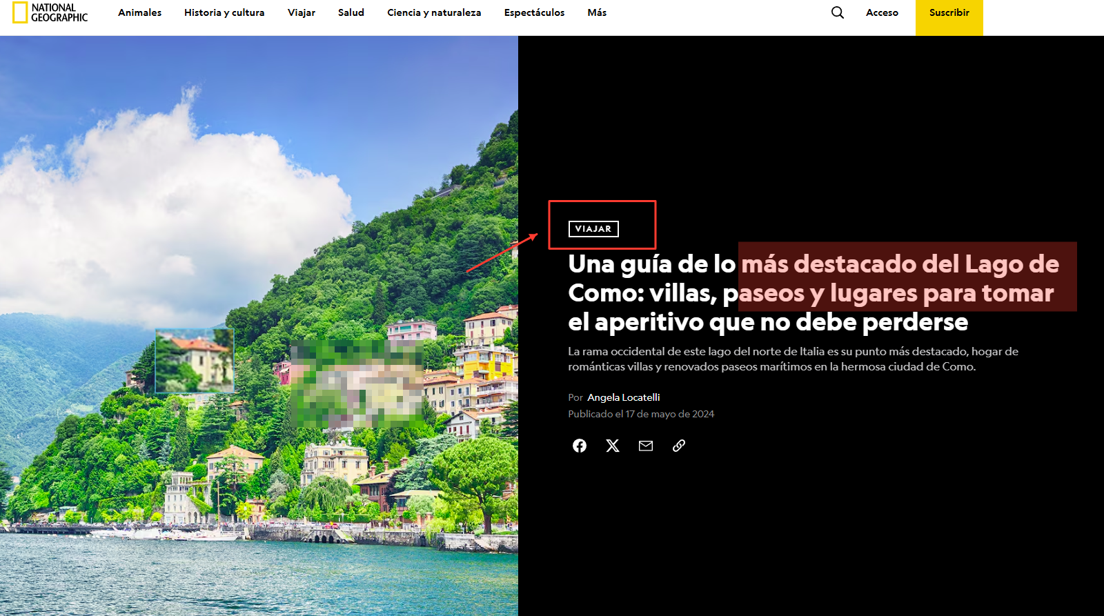Shelf screenshot editor with an arrow, a rectangle highlight, blur and text annotations applied to a captured web page